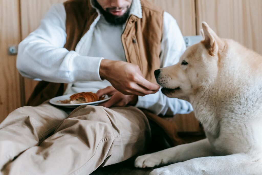 Un uomo d&agrave; un pezzo di pane al suo cane seduto accanto a lui.
